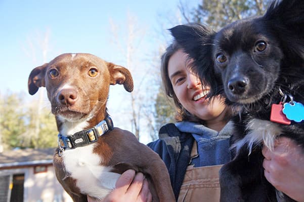 dog-boarding-staff-member-hugging-dogs-crop